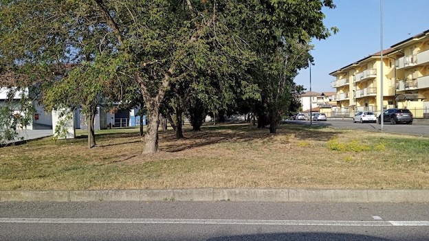 Trecate, dopo l'emergenza maltempo ripresa la manutenzione del verde pubblico