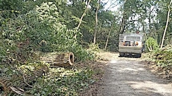 Proseguono i lavori di ripristino nelle aree del Parco del Ticino dopo il maltempo