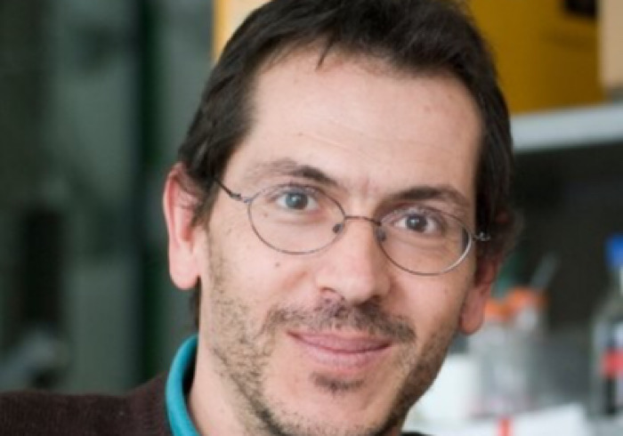 Al via rassegna di incontri divulgativi alla Fondazione Novara Sviluppo 