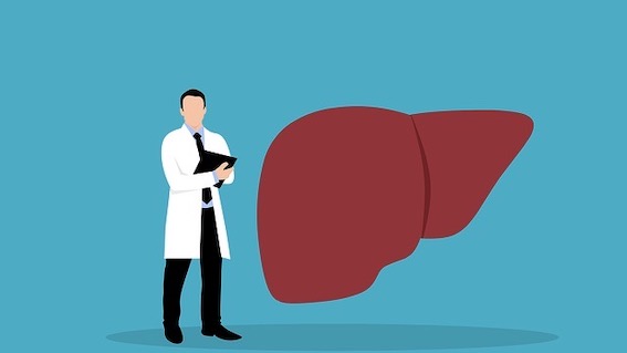 Novara, evento "Love your liver": consulenze sulla salute del fegato