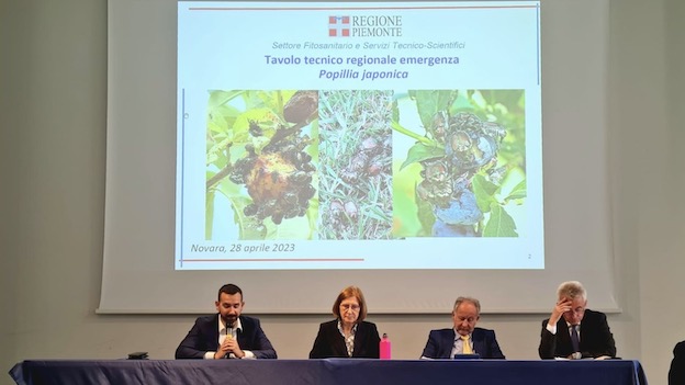 Novara, svolto  incontro sull'emergenza Popillia Japonica