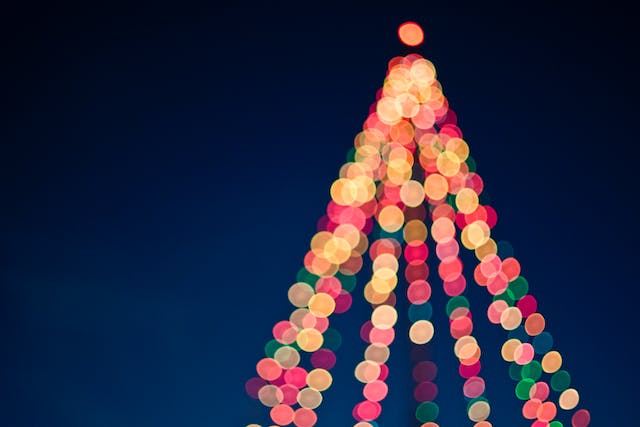 Galliate, il 2 dicembre accensione dell'albero di Natale e  delle luminarie