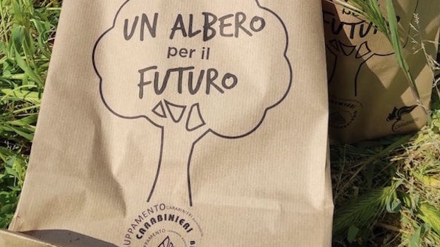 Novara, progetto "Insieme per l'Ambiente" con i Carabinieri Forestali