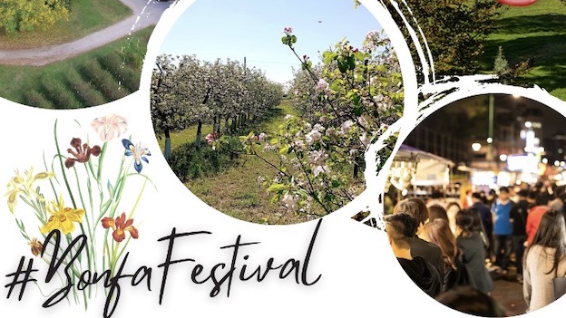 70 anni dell'IIS Bonfantini, il 10 giugno il "#BonfaFest"