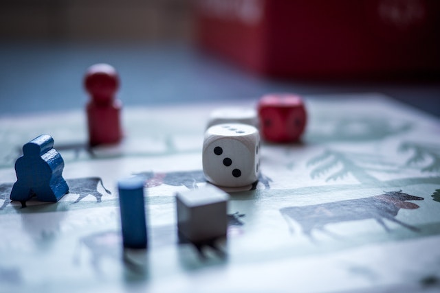 Nasce a Novara l'APS "Giocatori delle Risaie": riunisce gli appassionati di giochi