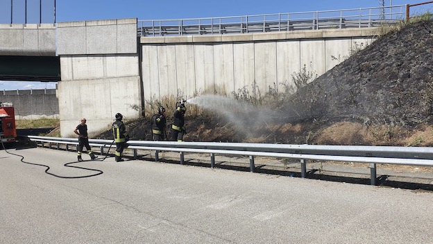Incendio di sterpaglie fra Galliate e Romentino