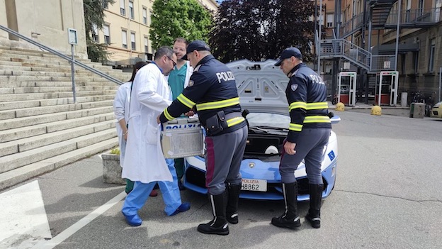 Polizia, la Lamborghini Huracàn trasporta rene da Novara a Roma
