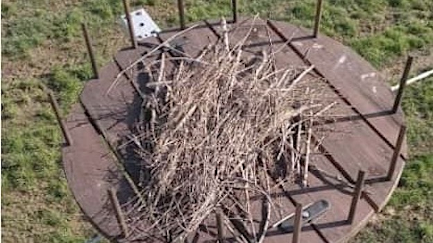 Oleggio, avviato il progetto "Cicogna Bianca"