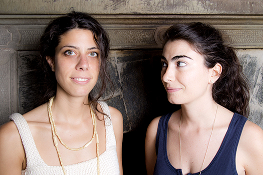 Novara Sviluppo presenta l’incontro “L'insetto nel piatto, il cibo del futuro”