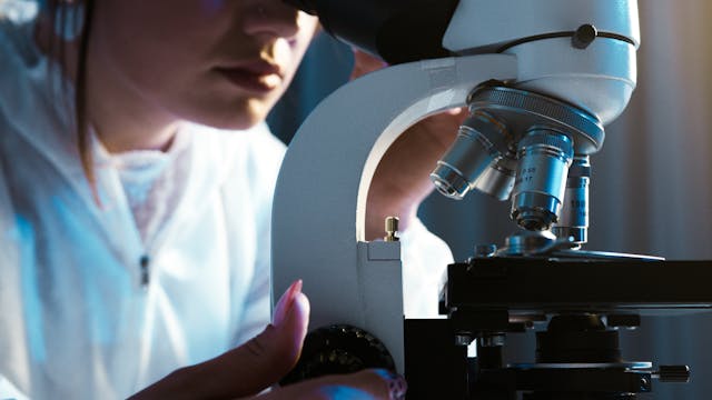 Novara, a maggio la conferenza internazionale "No-Cancer 2024"