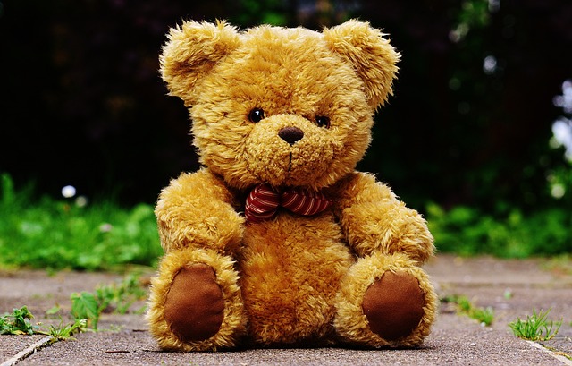 Igor Volley, torna la "Teddy Bear Toss"