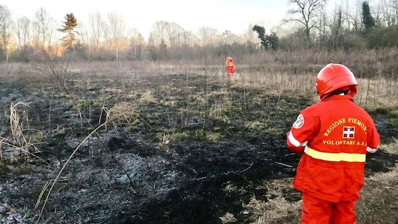 Galliate, fiamme in area boschiva: intervenuti volontari AIB