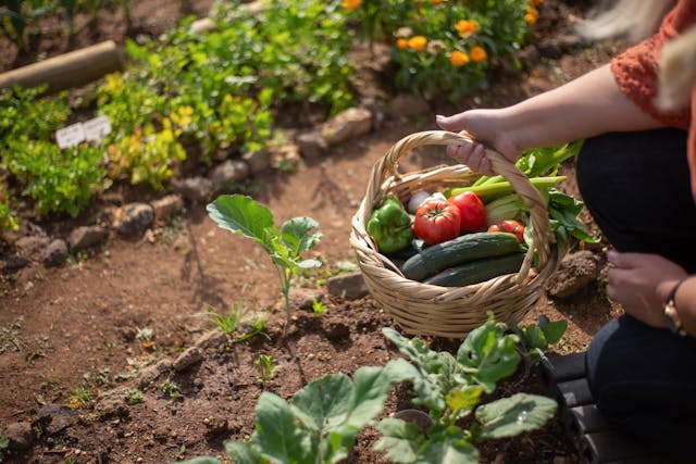 BioNovara: è possibile produrre cibo favorendo la tutela dell’ambiente