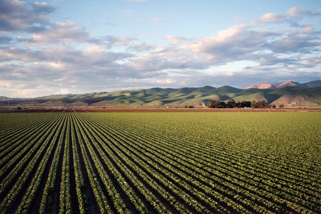 Agricoltura biologica, aperto bando regionale da 35 milioni di euro