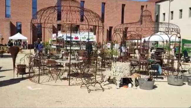 Novara, torna "Fiorissimo": appuntamento dal 22 al 24 marzo