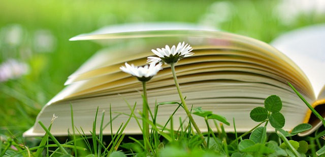 Novara, iniziativa "Un Parco di libri uguali per tutti"