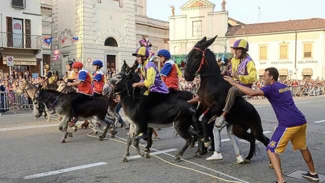 A Cameri quest'anno niente Palio degli Asini