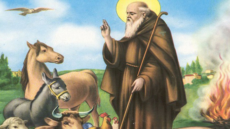 Trecate, domenica la festa di Sant'Antonio Abate