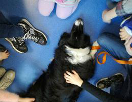 Pet therapy: si amplia il progetto all'ospedale Maggiore