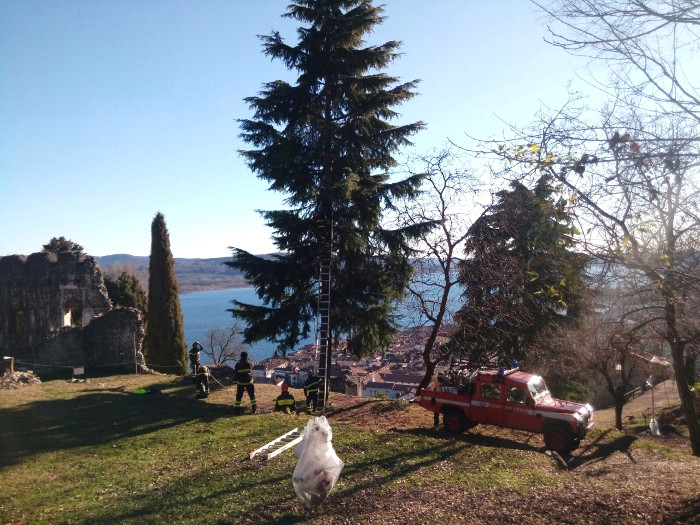 Tanti eventi per l'Epifania in città