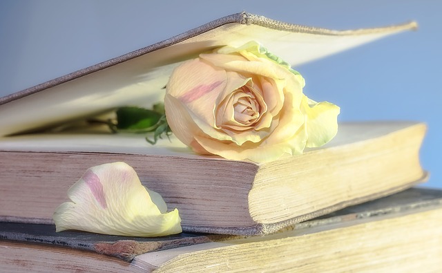 Uno spettacolo fra poesia e musica