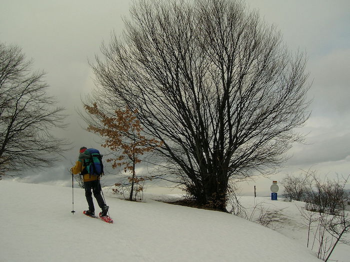 Colombero (Uncem Piemonte): non solo sci, ricordiamoci dell'altra montagna