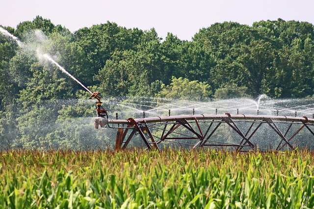 Siccità, Coldiretti Novara-Vco: “Stagione irrigatoria a rischio"