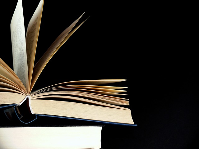 Alda Merini inedita, la primogenita della poetessa presenta il suo libro ad Arona