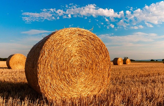 Fondi europei: 13 milioni di euro per oltre 5mila aziende agricole piemontesi