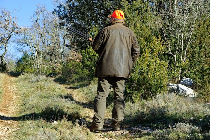 Cacciatori per "contenere" la fauna selvatica: via libera alle Regioni dalla Corte costituzionale 