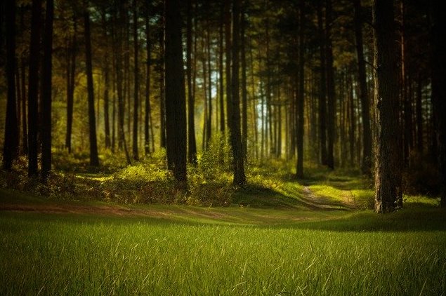 Il 5 giugno sarà inaugurato il primo “parco in comune” a Trecate