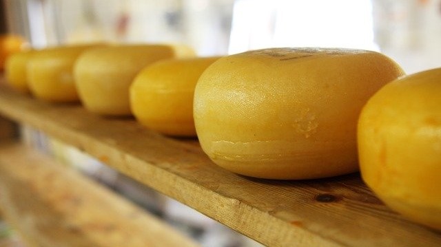 Il progetto IALS rivela i risultati relativi al valore nutrizionale dei formaggi di montagna