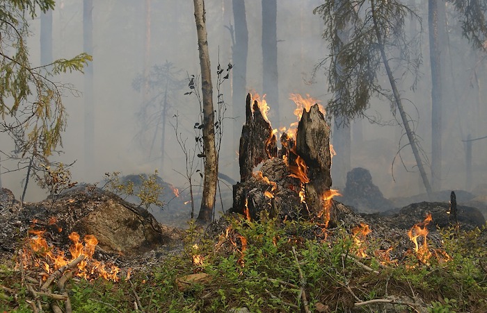 E' stato di massima pericolosità per gli incendi boschivi 