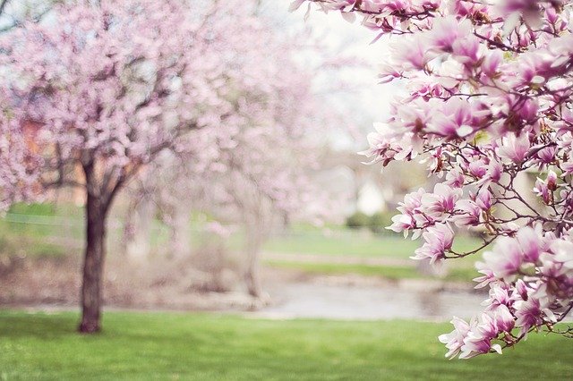 Giornate di primavera del Fai: a Bogogno visite guidate a due siti
