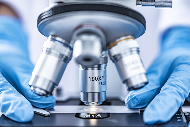 Gli studenti di Scienze del farmaco di UPO a New York per uno scambio accademico