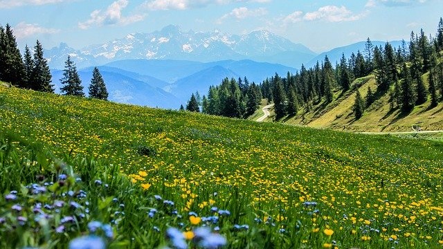 “Bonus vacanze Piemonte 3x1 idea geniale” per il noto pubblicitario Nardi