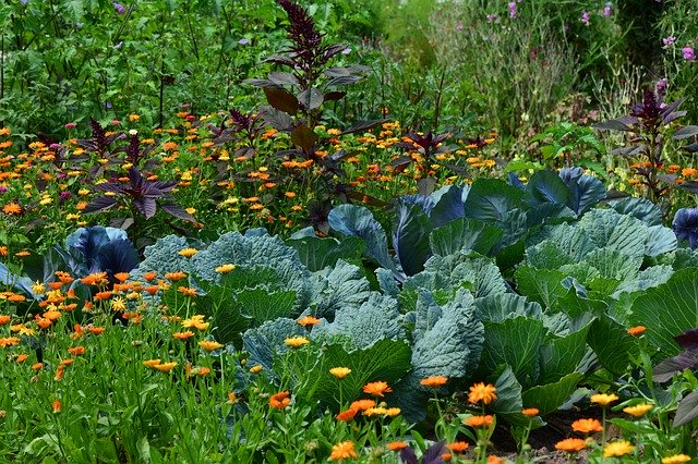 Sì alla manutenzione di orti e giardini di seconde case