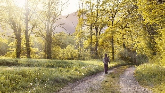Passeggiata alla scoperta della “Savana piemontese”