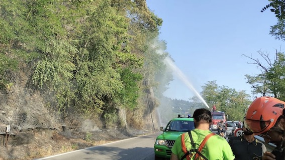 Pettenasco, incendio boschivo. Foto