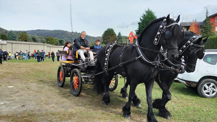 Un successo il "villaggio agricolo" di Armeno 