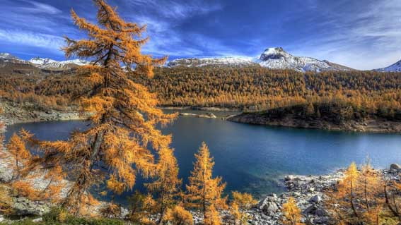 Luoghi del Cuore:  progetti finanziati dal Fai per Alpe Devero ed il lago d'Orta ed il suo ecosistema