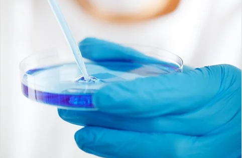 Coronavirus. Nastri (FdI): medici di base vanno sostenuti  per loro sacrificio. Governo fornisca dispositivi di sicurezza  