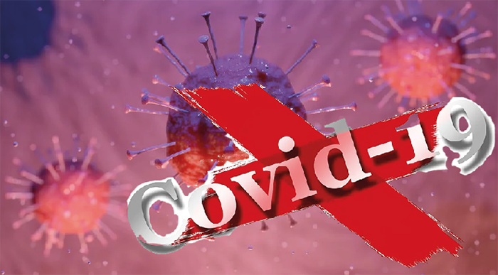 Coronavirus: 2.063 in Piemonte le persone finora risultate positive al “Coronavirus Covid-19”, 76 nel Vco e 159 a Novara