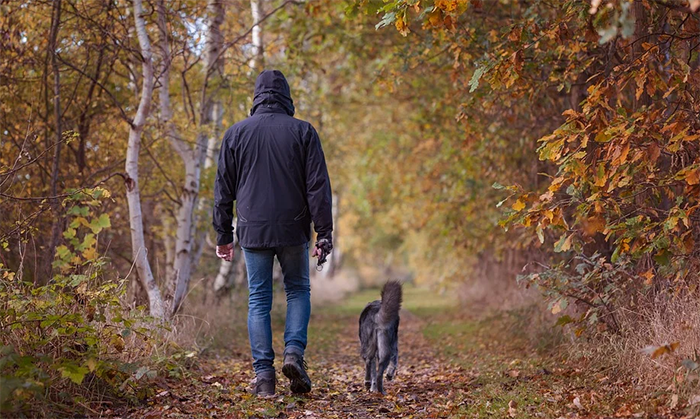 Curare l'orto, portare i cani, fare una corsetta... Lettera di un lettore sulle norme di sicurezza per il Covid-19: “Basta, ora serve il buon senso”