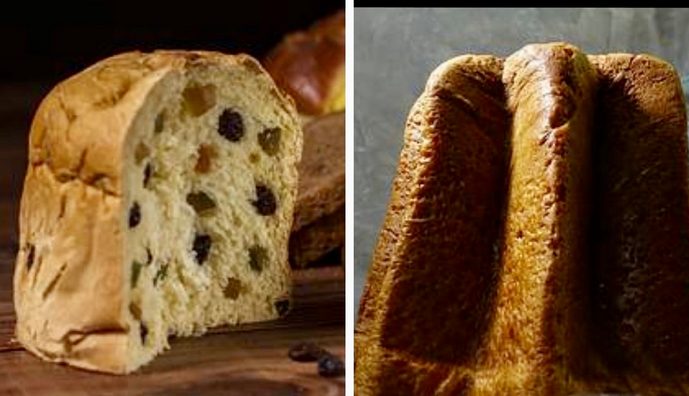 Panettone o pandoro per Natale? Il più scontato dei sondaggi sulla app di News24 per il Natale più diverso. Votate!