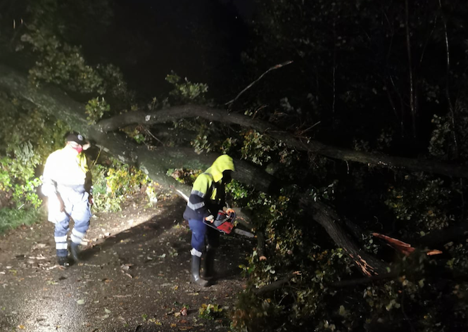 Borgomanero: 25 interventi per rimozione alberi e messa in sicurezza