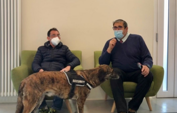 I problemi agli occhi degli animali nella videopuntata odierna di "Qua la zampa"