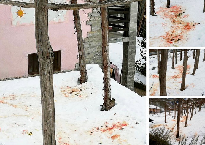 Enorme macchia di sangue fuori dalla porta di casa: l'attacco di un lupo ad un animale selvatico in centro a Viganella. Foto
