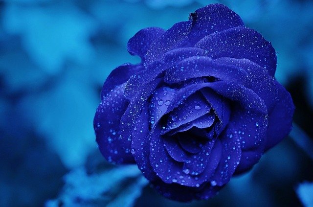 Oggi è Blue Monday, il giorno più triste dell'anno (che non esiste)