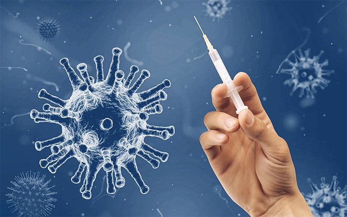 Tante dosi di vacicni in arrivo alle Asl Piemontesi: 23 mila sono aggiuntive di Pfizer 